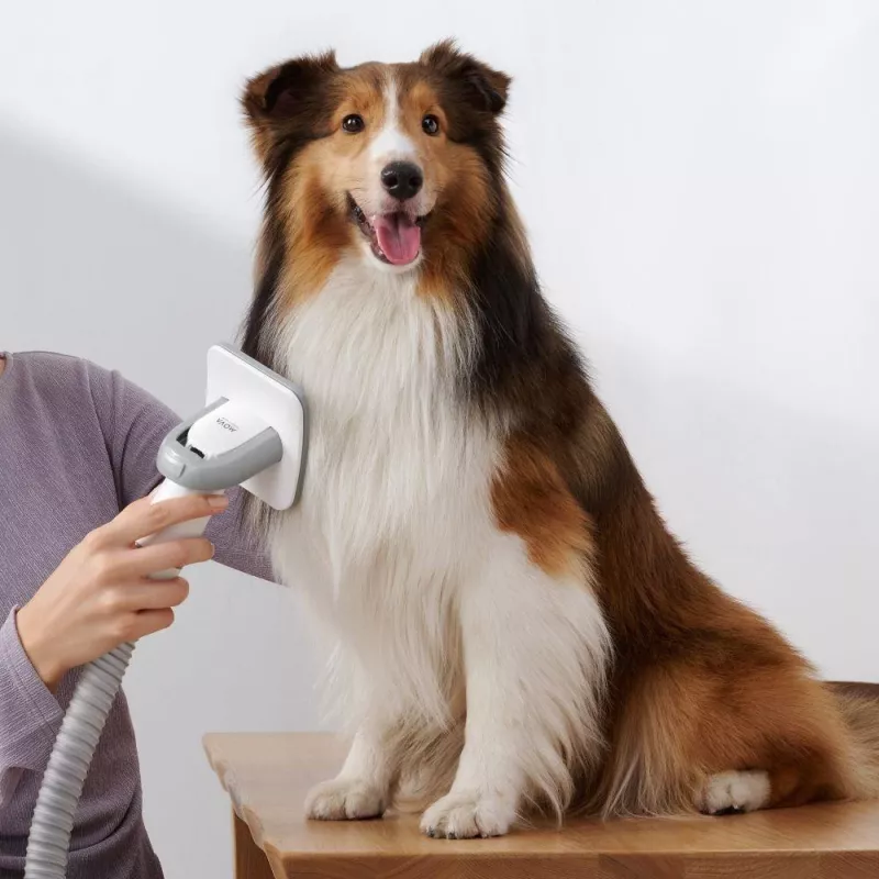 Aspirador | DREAME | Mova G1 Pro Pet Grooming Kit | capacidade de pó 1 L | tipo de limpeza a seco | cor branca | PHC10A