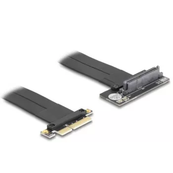 Placa de interface DeLOCK 81506