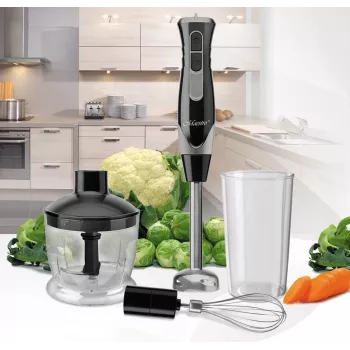 Varinha mágica Maestro MR-566, 500 W, 2 velocidades, turbo, batedor, picadora 600 ml, recipiente de armazenamento 900 ml, aço inoxidável