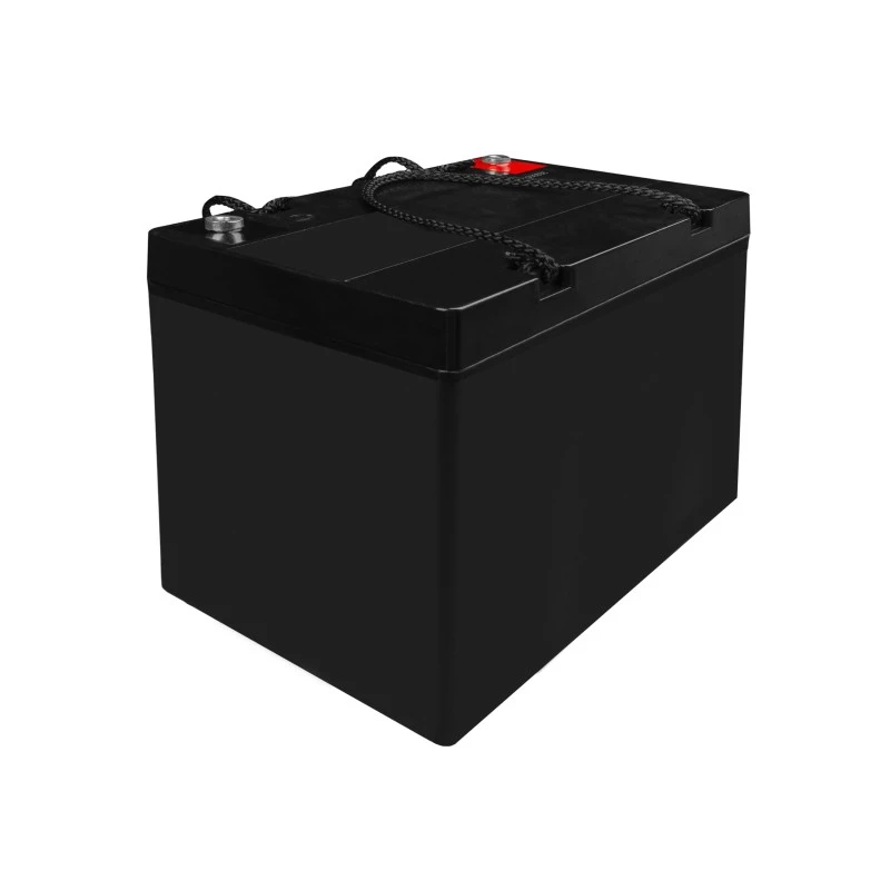 Bateria AGM VRLA 12V 55Ah IP54
