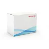 Rolo de transferência Xerox, WorkCentre 7525/7530/7535/7545/7556, 1 unid.