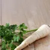 PNOS salsa de raiz Alba sementes em fita, 6 m