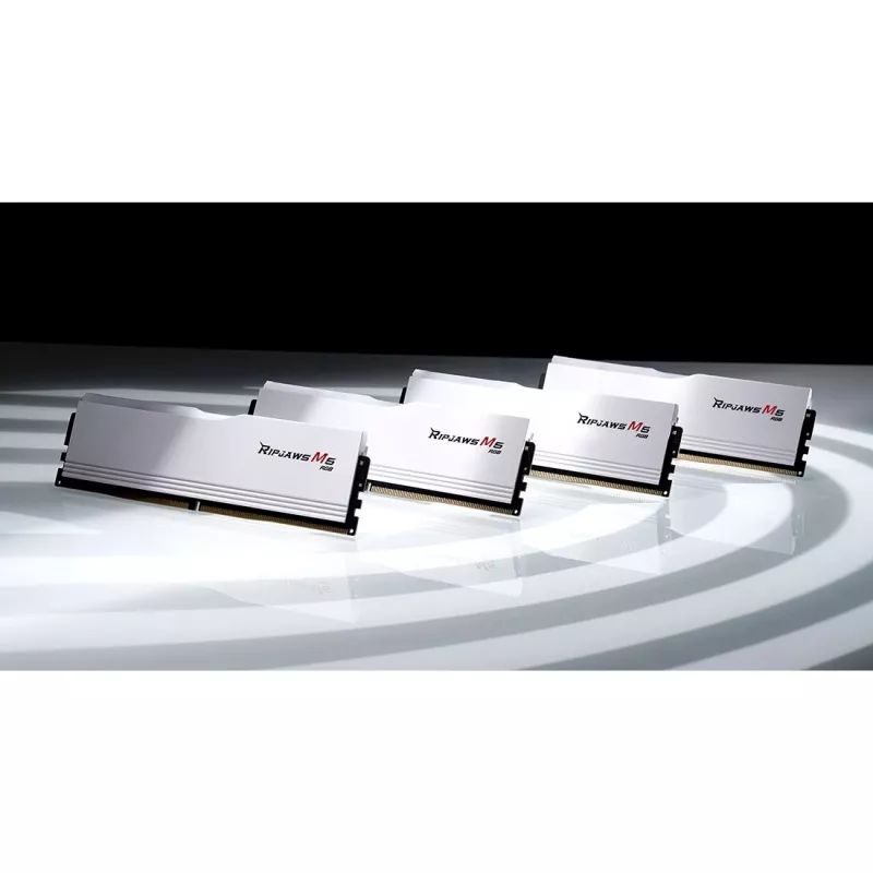 DIMM 48 GB DDR5-5200 (2x 24 GB) Dual-Kit, memória branca, F5-5200J4040A24GX2-RM5RW, Ripjaws M5, INTEL XMP
