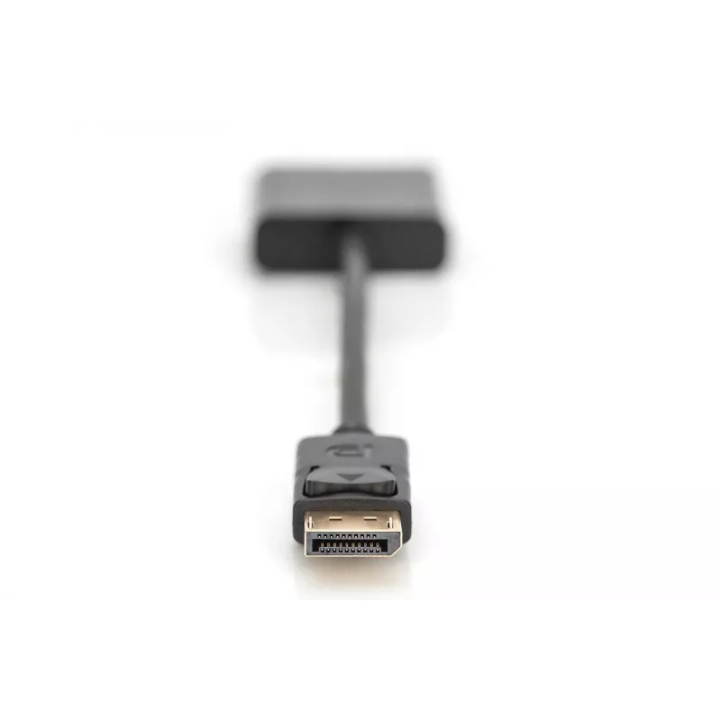 Digitus Adaptador / conversor DisplayPort