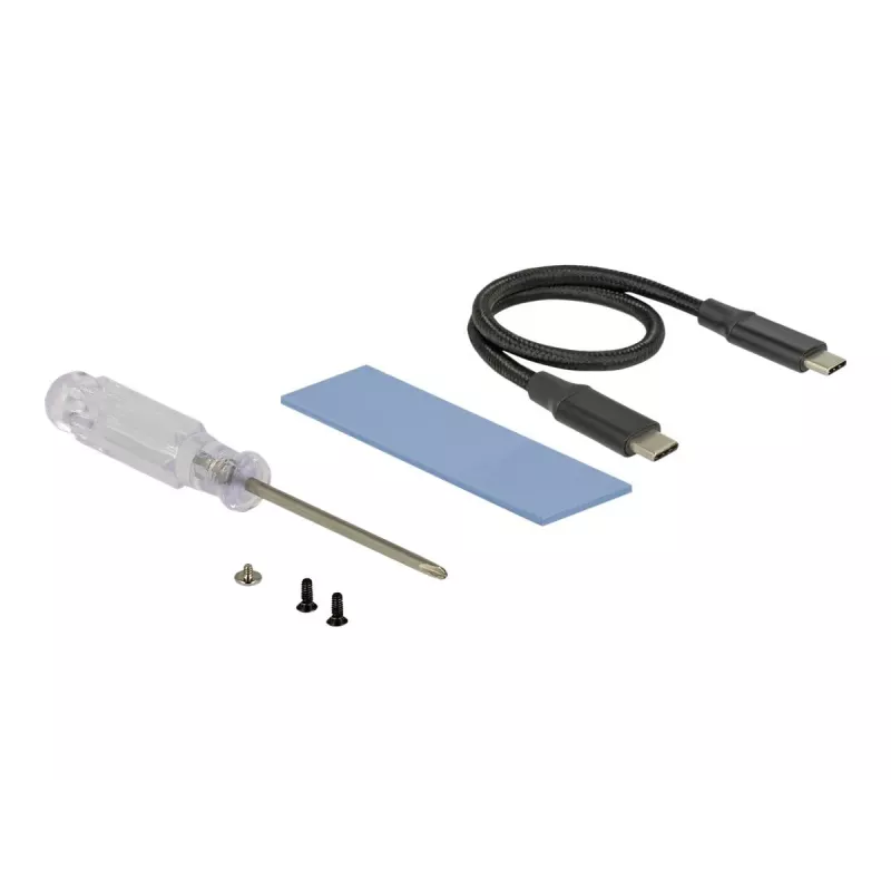 Placa de interface DeLOCK 42600 USB 3.2 Gen 1