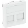 OBO Bettermann Suporte Data Technology DTG-2CRW Type C (6119214)
