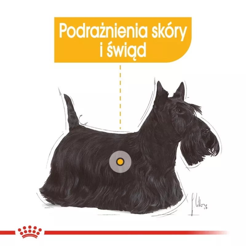 ROYAL CANIN Mini Dermacomfort - Comida seca para raças pequenas adultas com pele sensível e propensa a irritações - 3 kg