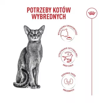 Comida seca para gatos Royal Canin Exigent Fussy 400 g — receita de aves para adultos, 40 % proteína, 17,5 % gordura