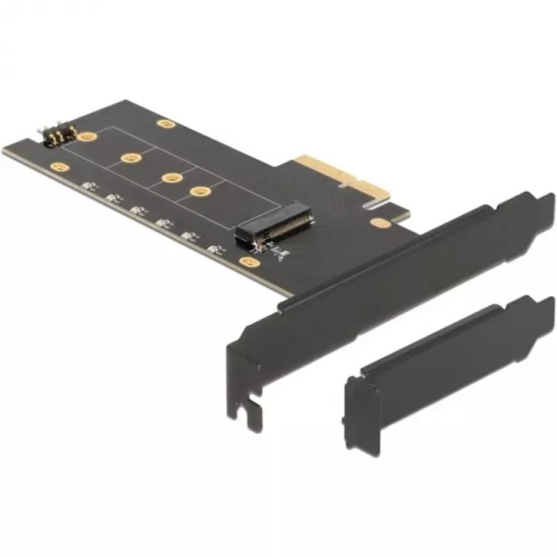Placa de interface DeLOCK 89013 interna M.2 PCIe Low-Profile