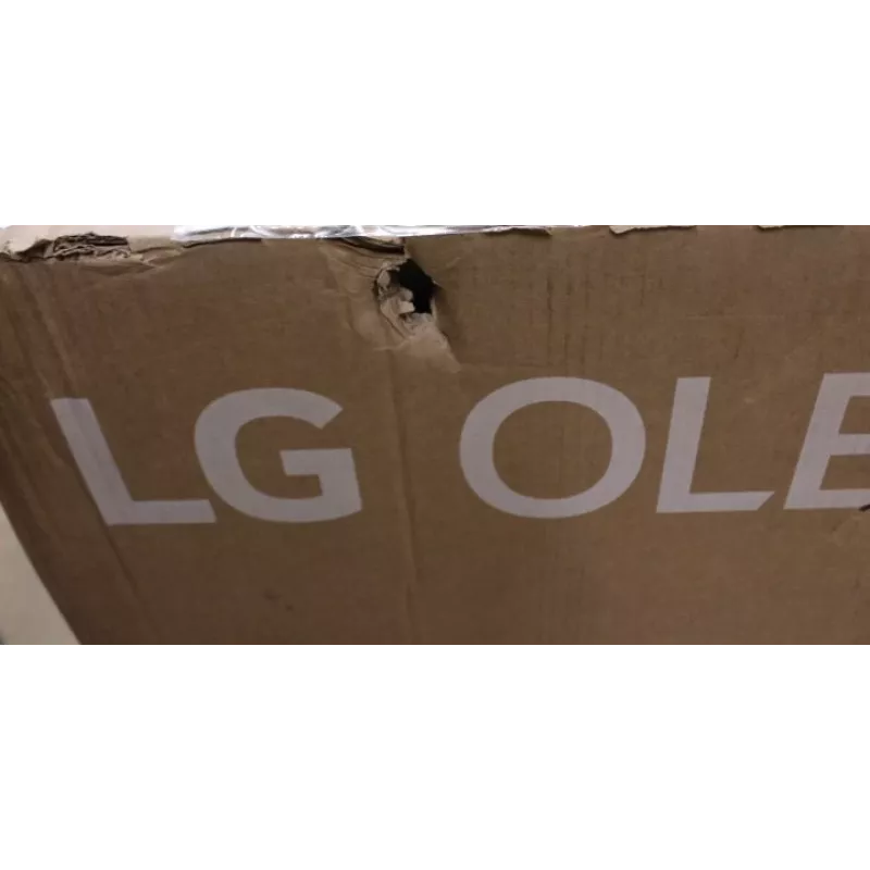 OLED TV LG OLED55G51LW 55
