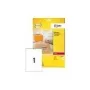 Etiqueta de endereço transparente Avery Laser L7565 transparente 99,1x67,7 mm 25 folhas