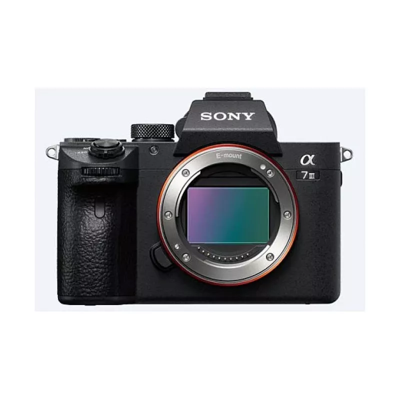 Sony α 7 III + 28–70 mm MILC 24,2 MP CMOS 6000 x 4000 píxeis preto