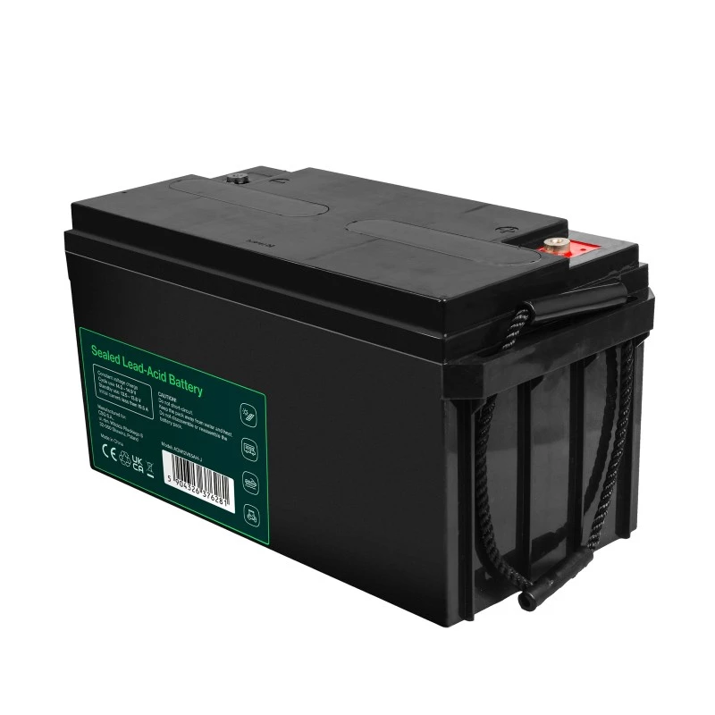Bateria AGM VRLA 12V 65Ah IP54