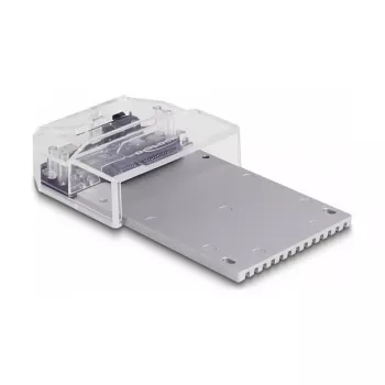 Docking station DeLOCK USB Type-C para 1 x SSD U.2 preto