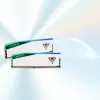 DIMM 48 GB DDR5-6000 (2x 24 GB) Dual-Kit, memória branca, PVER548G60C42KW, Viper Elite 5 RGB, INTEL XMP, AMD EXPO