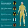 Pistola de massagem de percussão HoMedics PGM-150-EU — dispositivo portátil de terapia de percussão