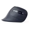 Gembird MUSW-ERGO-03 Rato Casa Destro RF Sem fios Ótico 1600 DPI