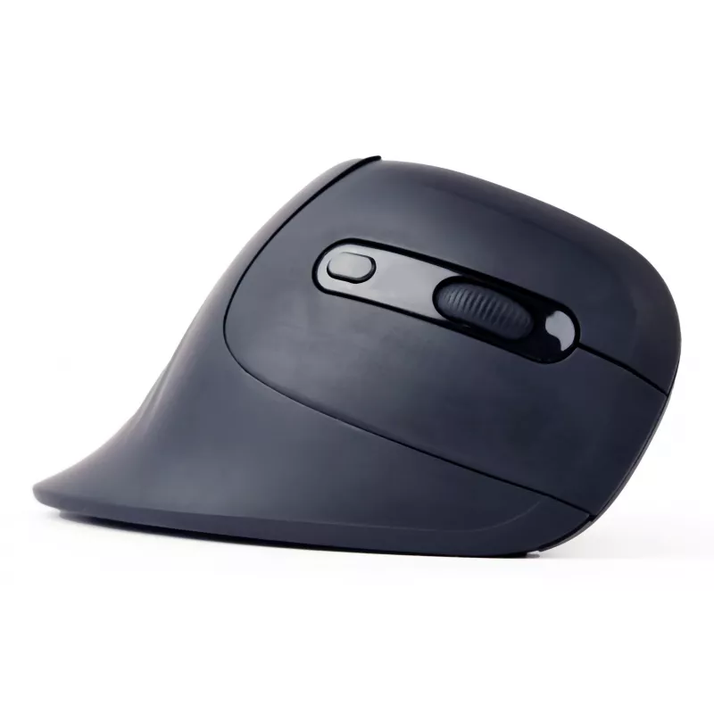 Gembird MUSW-ERGO-03 Rato Casa Destro RF Sem fios Ótico 1600 DPI