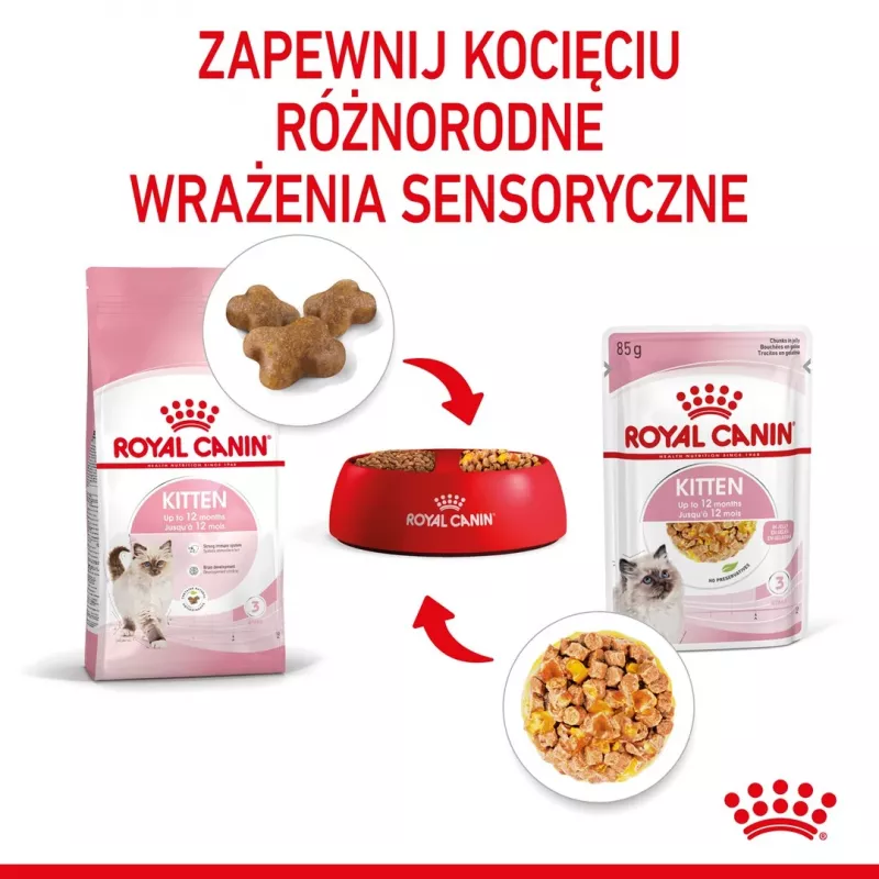Royal Canin Feline Health Nutrition Kitten Instinctive em geleia ração húmida para gatinhos, 12 x 85 g