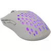 Baracuda BGM-022 OCTOPUS branco