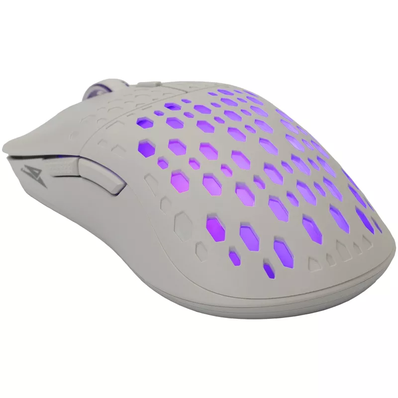 Baracuda BGM-022 OCTOPUS branco