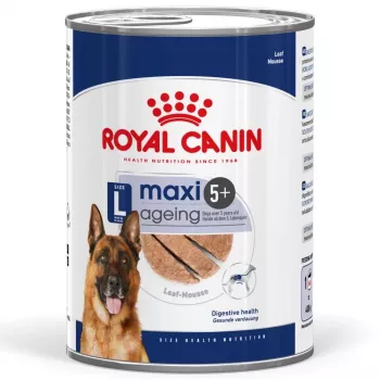 ROYAL CANIN SHN Maxi Ageing pão lata 410 g