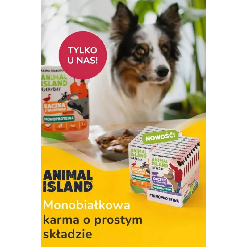 ANIMAL ISLAND Monoprotein vitela/pato/peru comida para cães 9×300g