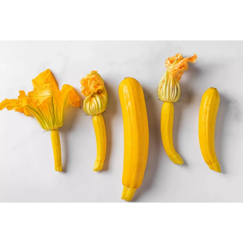 Sementes de hortícolas courgette dourada Toraf, pacote 5g