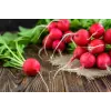 Sementes de rabanete Saxa 3, embalagem de 10 g
