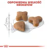 Ração seca para gatos Royal Canin Sensible 33 Adult, 10 kg — frango, 33% proteína, suporte das vias urinárias