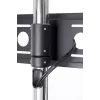 Suporte STD01 para ecrã 32-55'' VESA 75x75/600-400'' 80 kg
