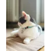 ZOLUX Chatouille azul - coleira para gatos