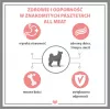 PUPIL Premium All Meat Gold pato - comida húmida para cães - 800g