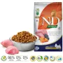FARMINA N&D Pumpkin Lamb&Blueberry Mini Adult - Alimento seco para cães - 7 kg