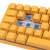 Ducky DKON2167ST-CDEPDYDYYYC1 produto azul
