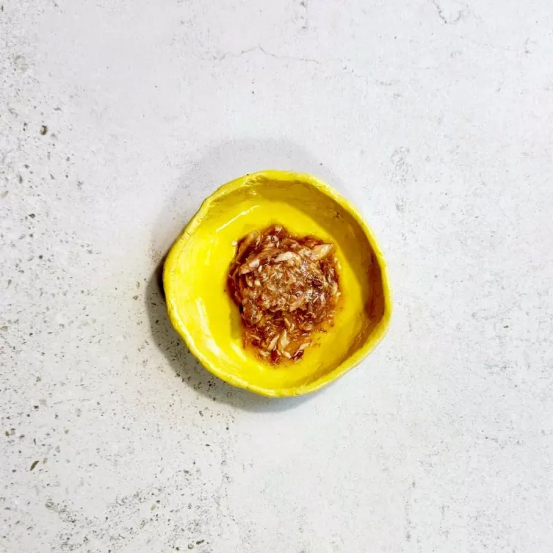 Ollo Atum com Salmão em Caldo Nº 5 70g