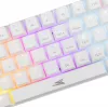 Baracuda DOLPHIN-W-azul branco