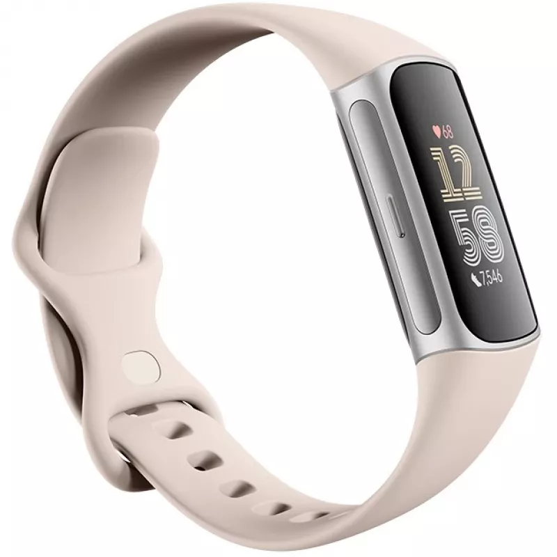 Fitbit GA05185-EU Produto Prateado