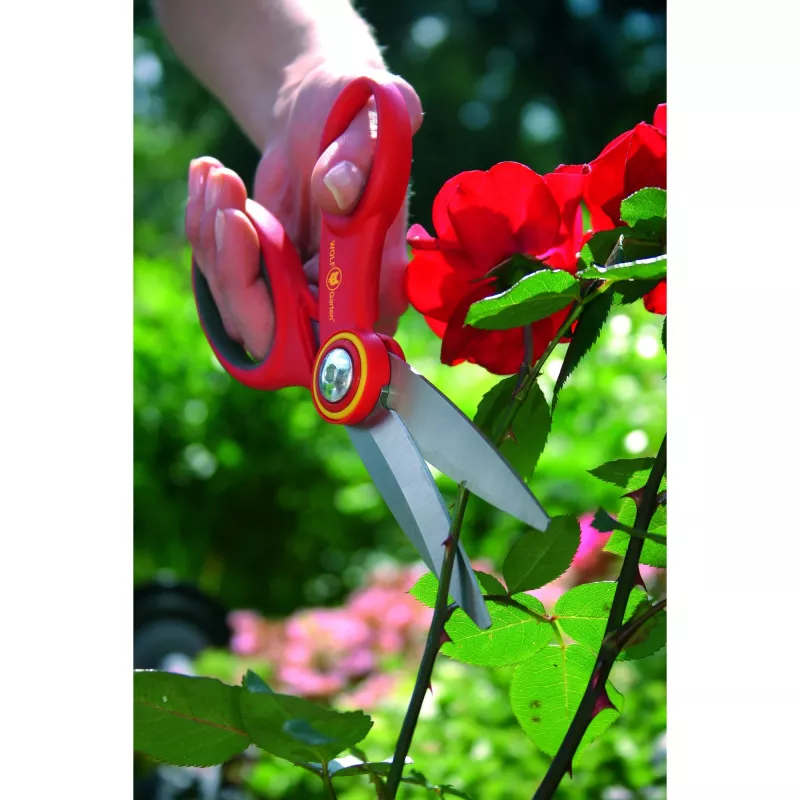 Tesoura multiusos WOLF-Garten RA-X, 18 cm, vermelha, desmontável (73AFA010650)