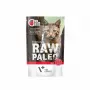 VetExpert Raw Paleo Adult Cat Sterilised comida húmida para gatos com vaca, 100 g
