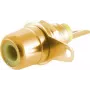 Conector RCA ShiverPeaks 52091-Y dourado, conector fêmea RCA áudio/vídeo, amarelo