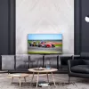 Televisor Thomson 43QG7C14 43