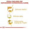 Royal Canin Poodle Adult ração para cães, 1,5 kg