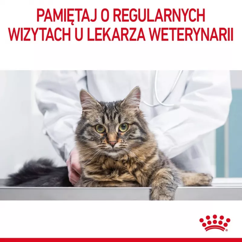 Royal Canin Urinary Care Ração seca para gatos 4 kg
