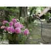 Mangueira de água Karcher Premium 5/8- 25M