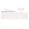 Extralink PC all-in-one Office, Intel Core i5-11300H, 16 GB DDR4, 512 GB SSD, teclado e rato com fios, câmara integrada