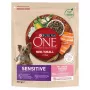 Purina One Mini/Small Sensitive ração seca para cães com salmão e arroz, 800 g
