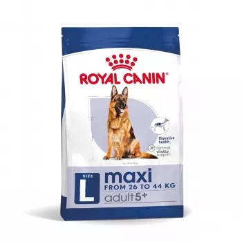 Ração seca para cães Royal Canin Maxi Adult 5+ 15 kg — frango, proteína 26%, gordura 17%