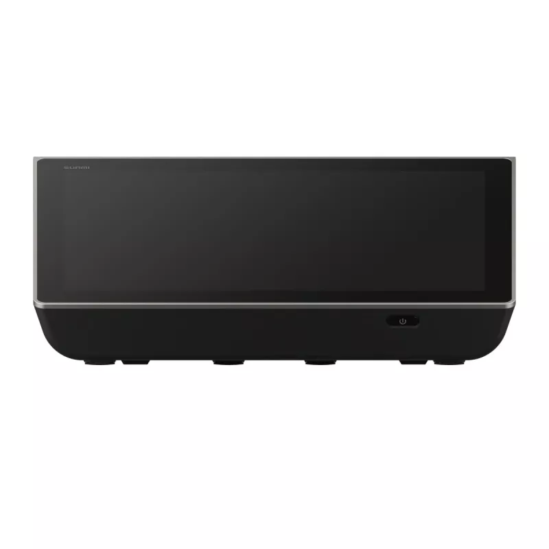 Terminal POS SUNMI D3 MINI 10,1