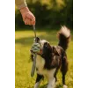Bola de brincar para cães ZOLUX TPR Outdoor, azul